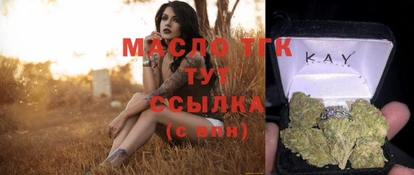 молекула духа Дмитров